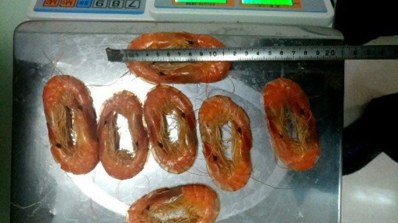 渤海烤虾虾干