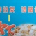 无盐虾皮