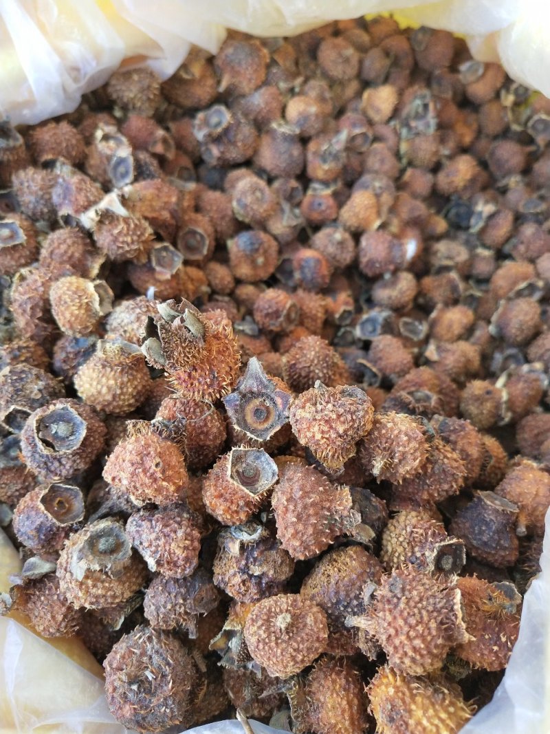 刺梨干果