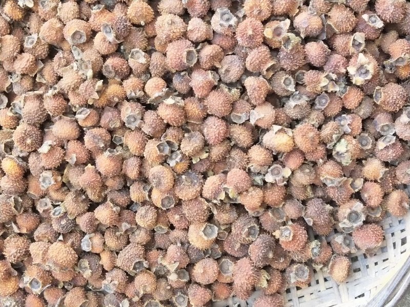 刺梨干果
