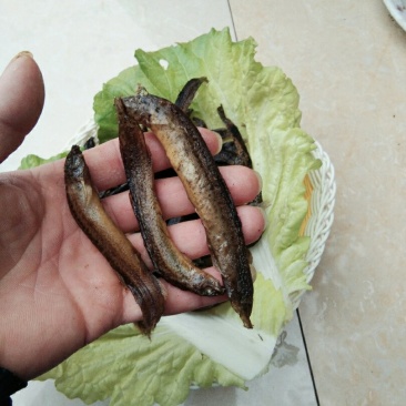 泥鳅干
