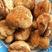 各种品质猴头菇，候头菇粉，长白山野生猴头菇