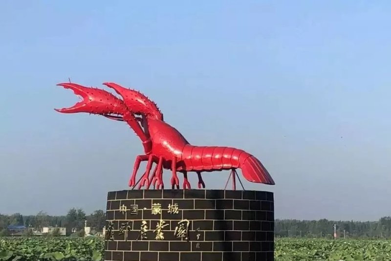 芡河湿地，虾稻共作米