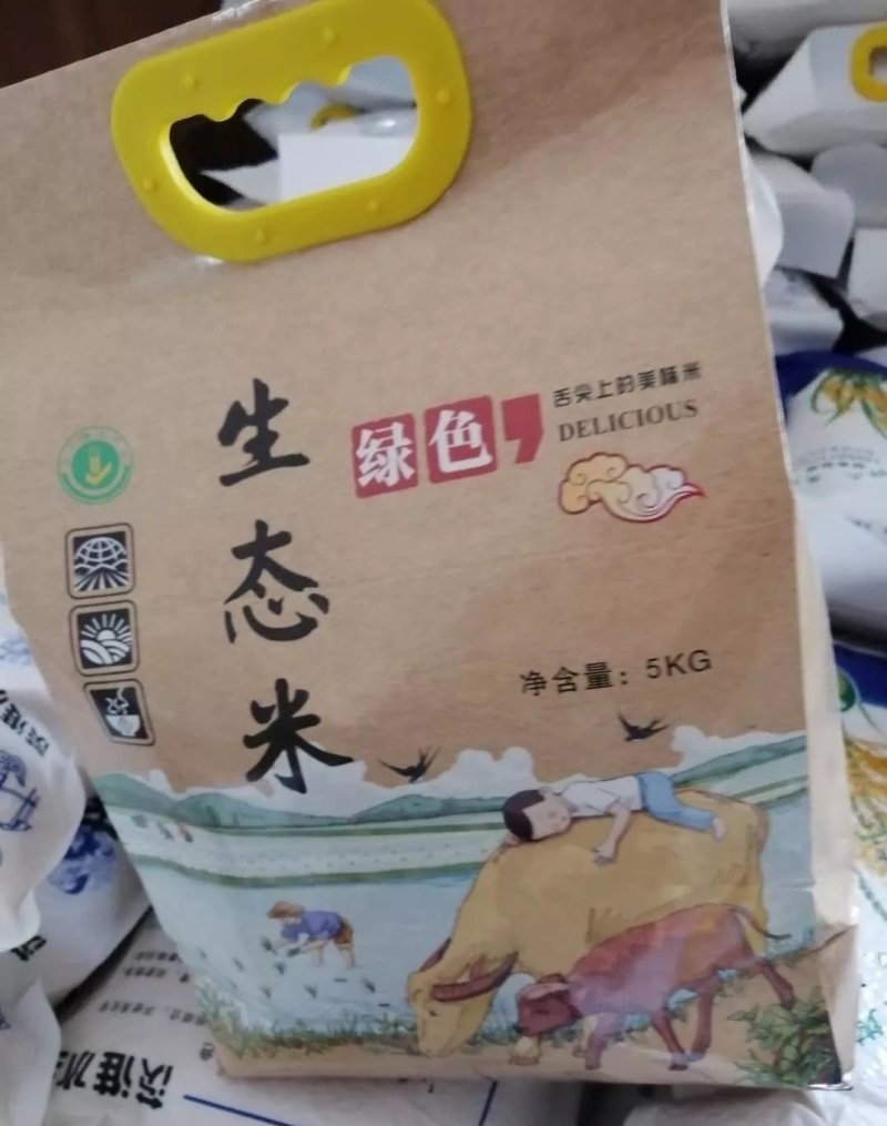 芡河湿地，虾稻共作米