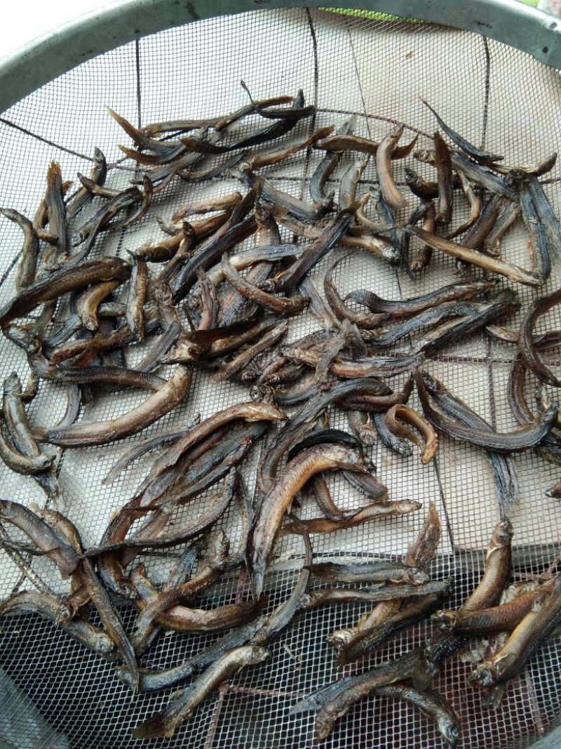 泥鳅干