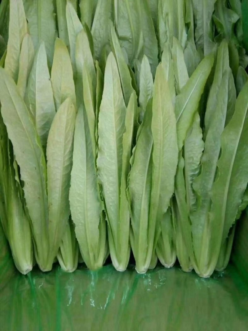 油麦