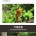 【源头好货】长白山纯野生天麻胜云南昭通天然特级原皮原色