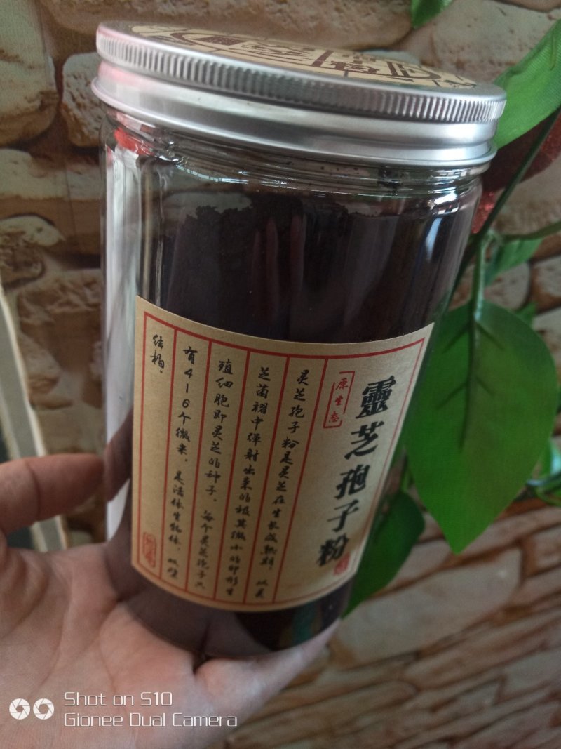 长白山灵芝孢子粉产地直发一件代发包邮