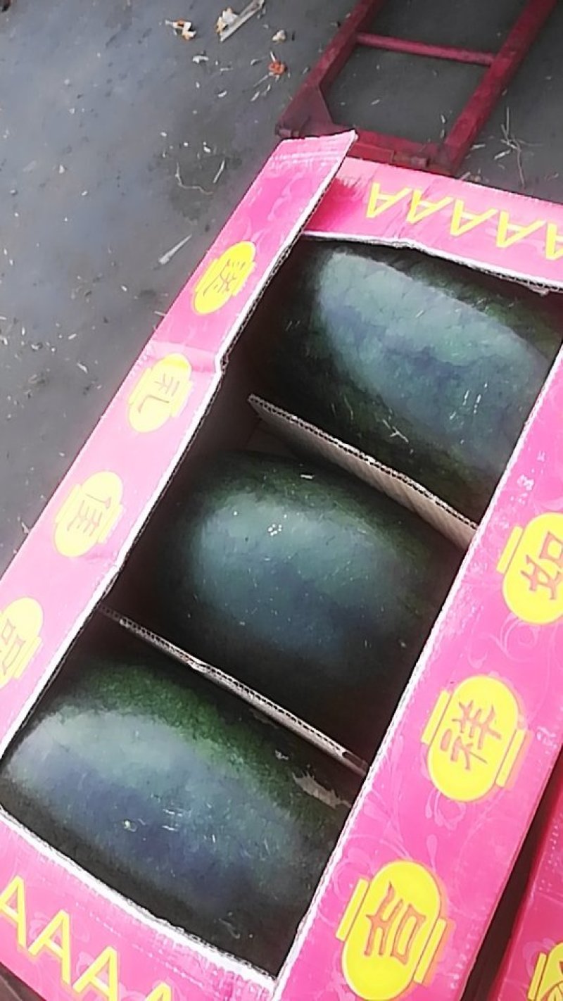 黑美人