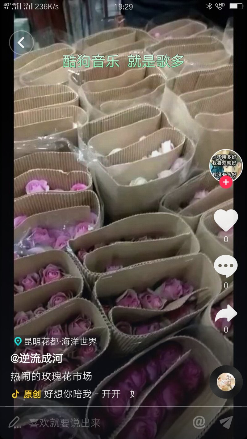 鲜切花