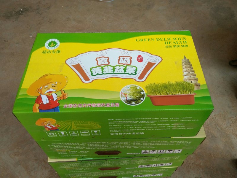 南宫特产黄韭盆景盆栽有机无公害纯绿色食品