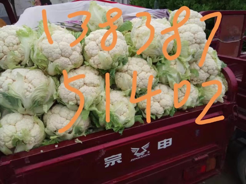 实花