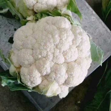 实花