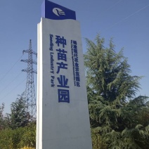 夏黑葡萄苗基地直销保证质量品系