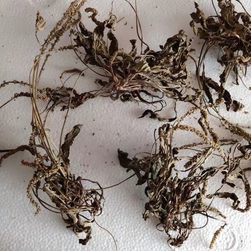 车前草1斤包邮