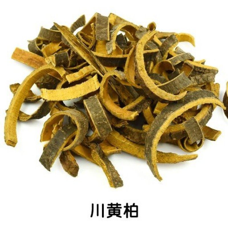 川黄柏带皮批发各种规格中药材