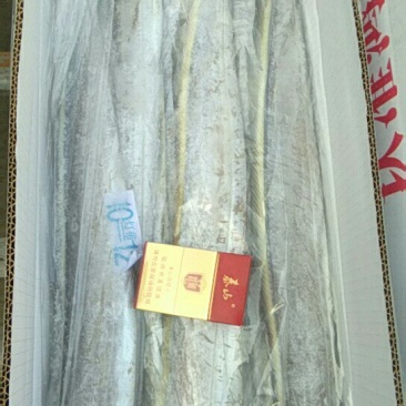 刀鱼