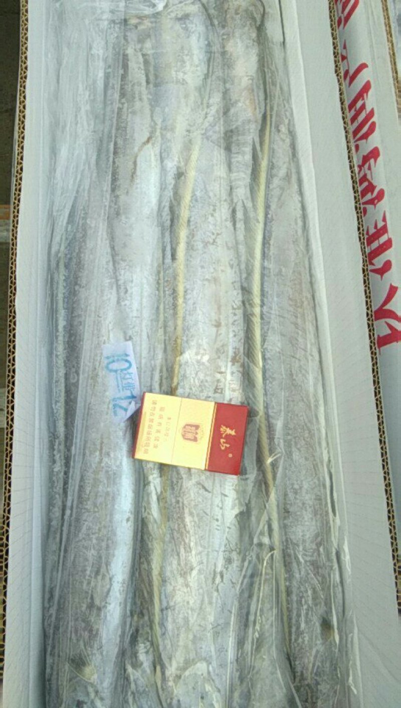 刀鱼