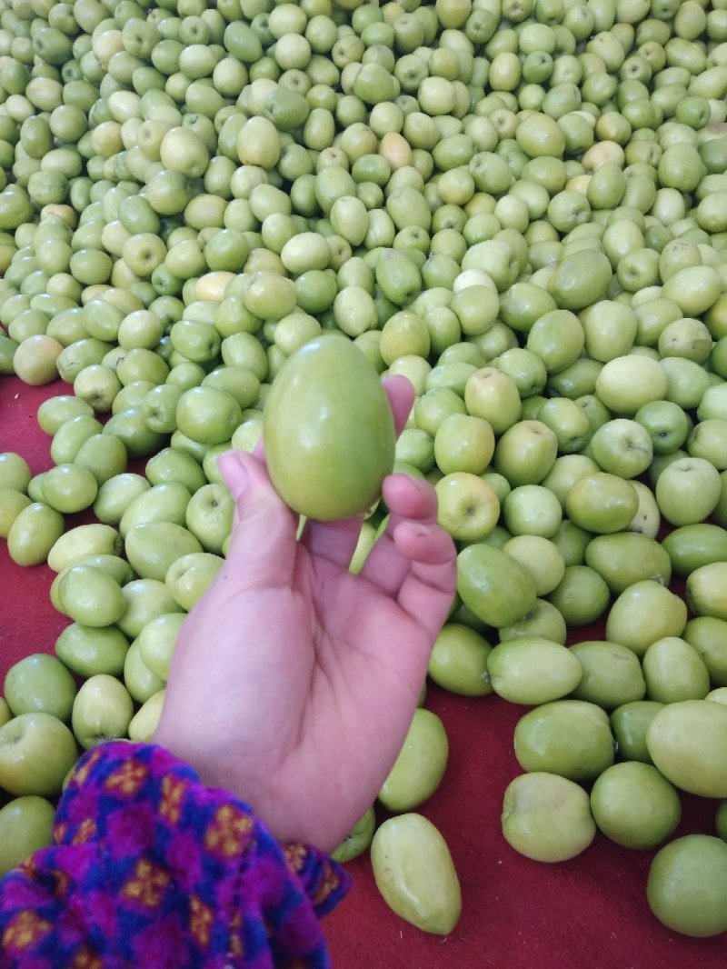 青枣