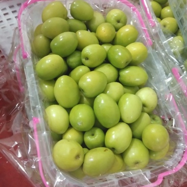 青枣