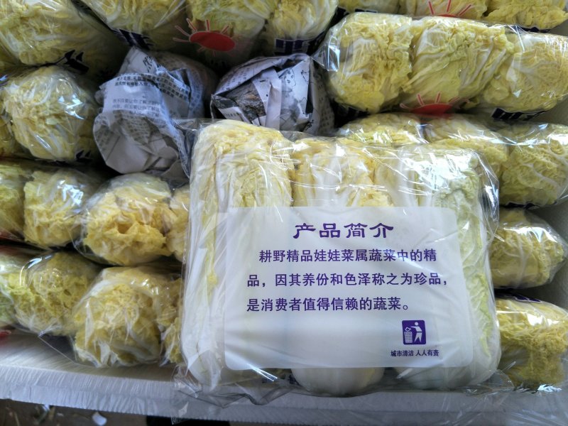 娃娃菜精品质量杠杠的