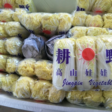 娃娃菜精品质量杠杠的