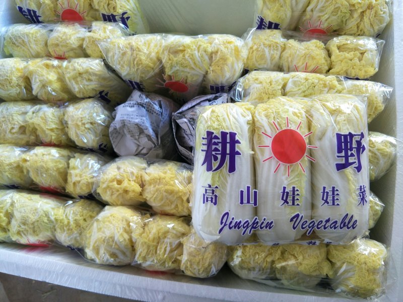 娃娃菜精品质量杠杠的