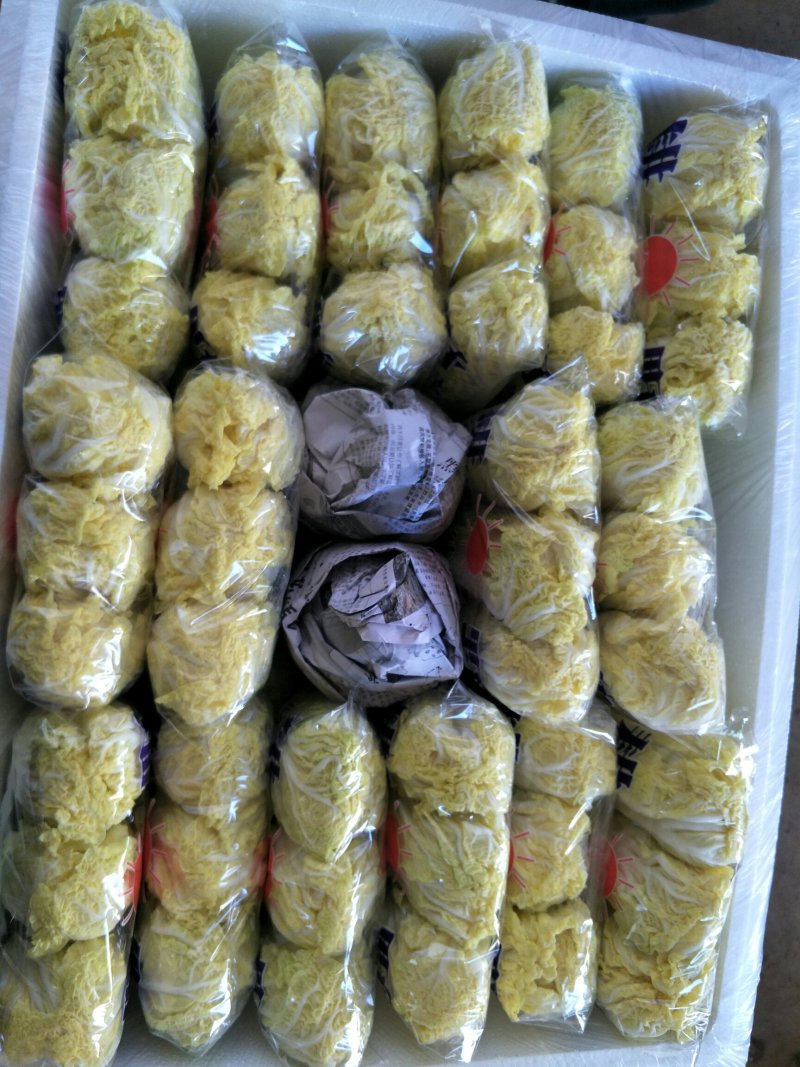 娃娃菜精品质量杠杠的