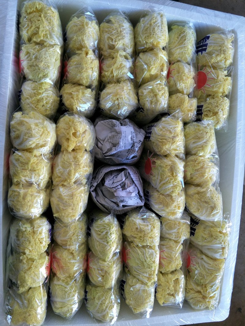 娃娃菜精品质量杠杠的
