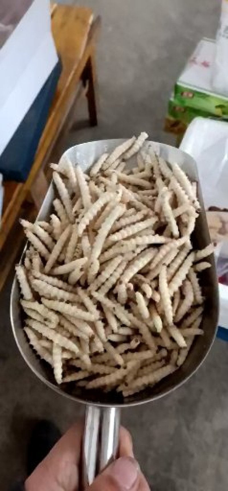 竹虫，颗粒单冻，无冰衣，散装无杂质无黑虫，可分装