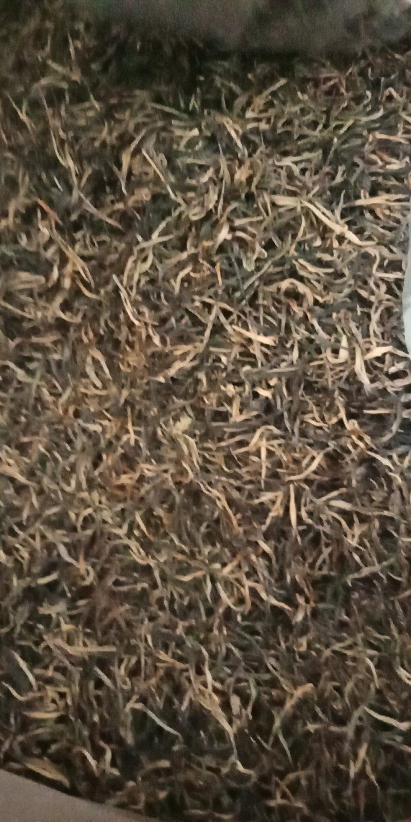 云南普洱茶