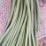 蒜苔精品蒜苔，提供各种规格包装一条龙服务