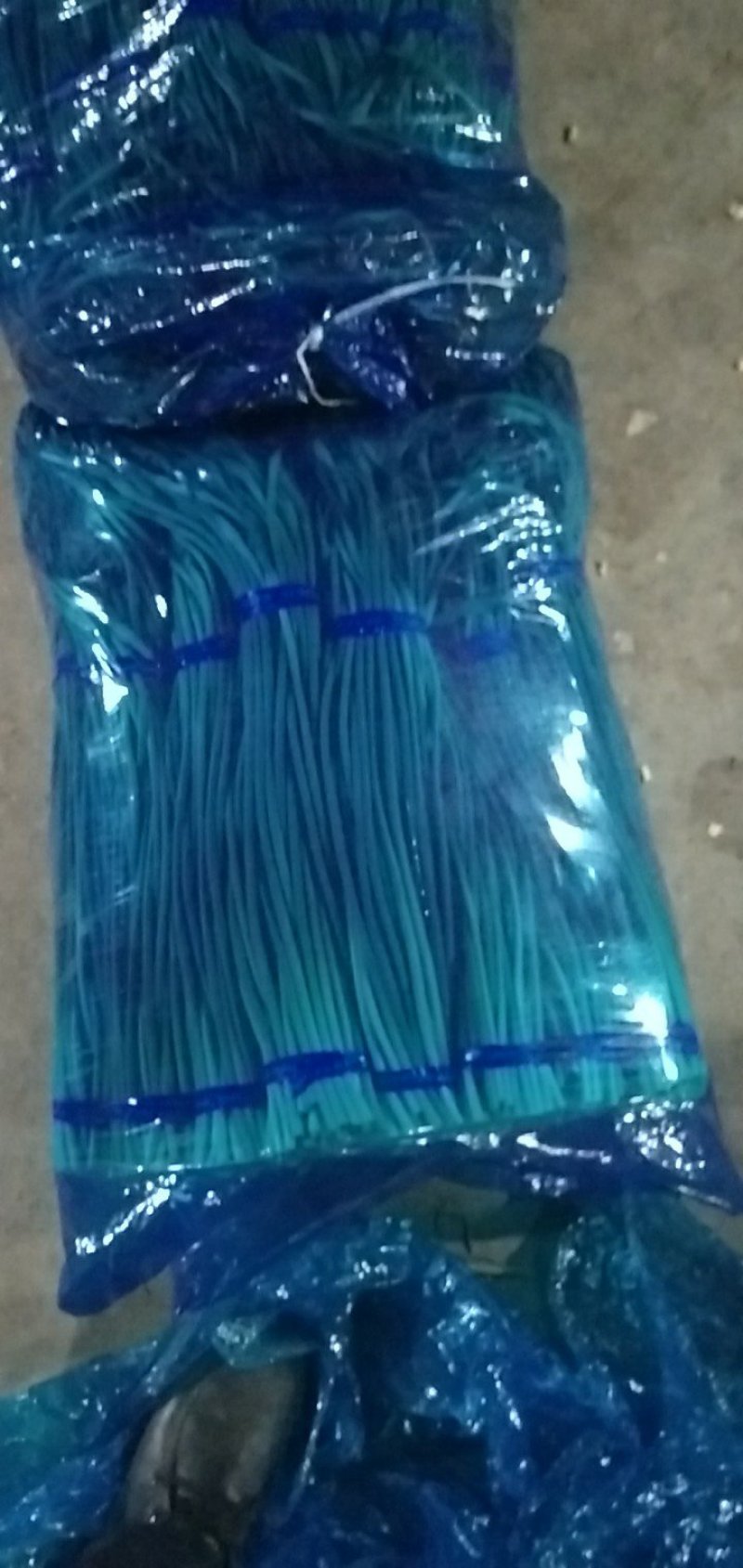 蒜苔精品蒜苔，提供各种规格包装一条龙服务