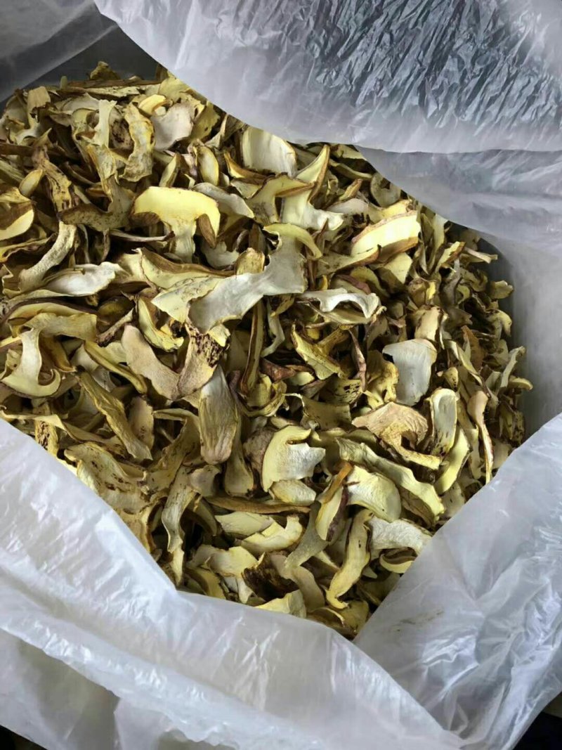 野生白葱菌干品全国批发零售