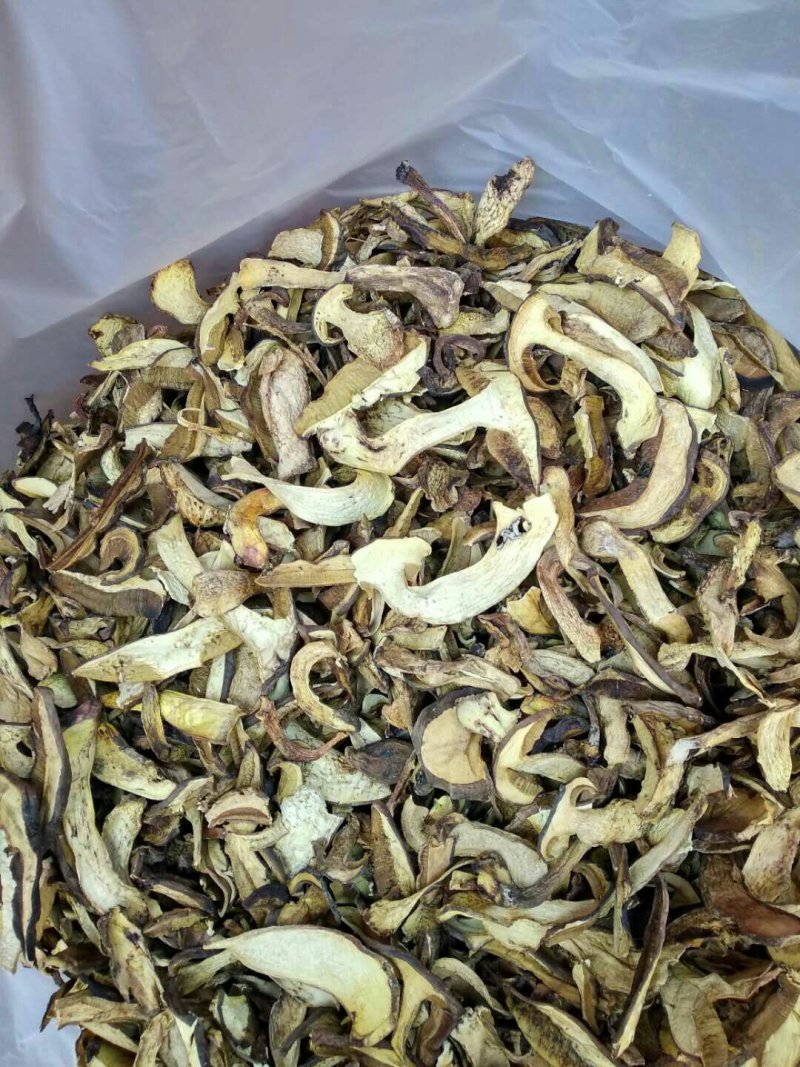 野生白葱菌干品全国批发零售