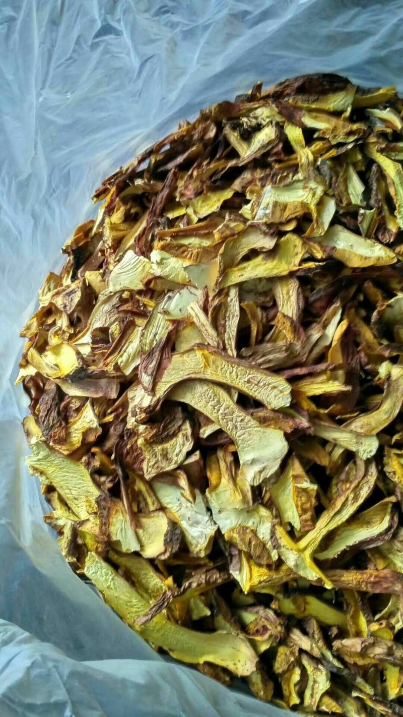 野生白葱菌干品全国批发零售