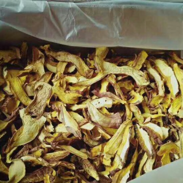 野生白葱菌干品全国批发零售