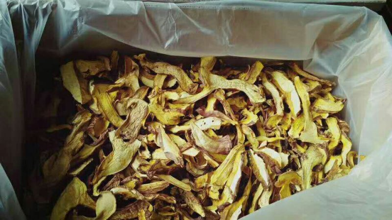 野生白葱菌干品全国批发零售