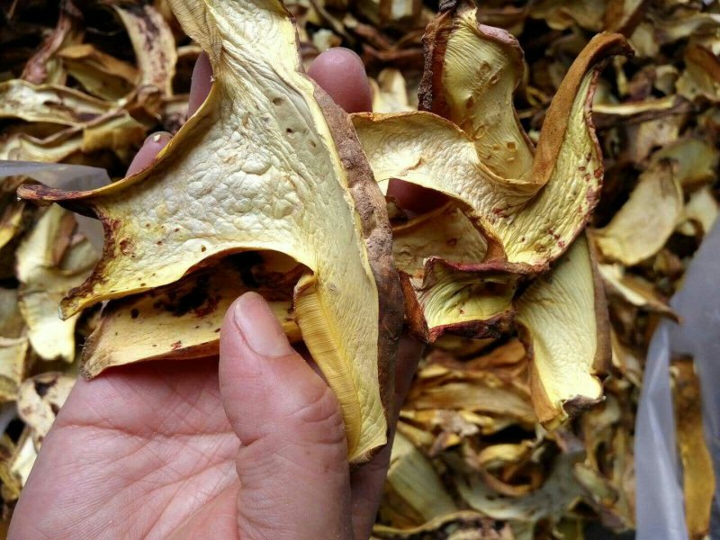 野生白葱菌干品全国批发零售