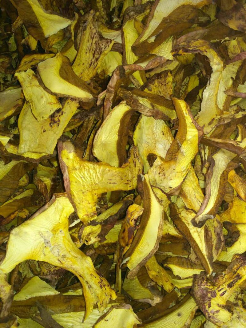 野生白葱菌干品全国批发零售
