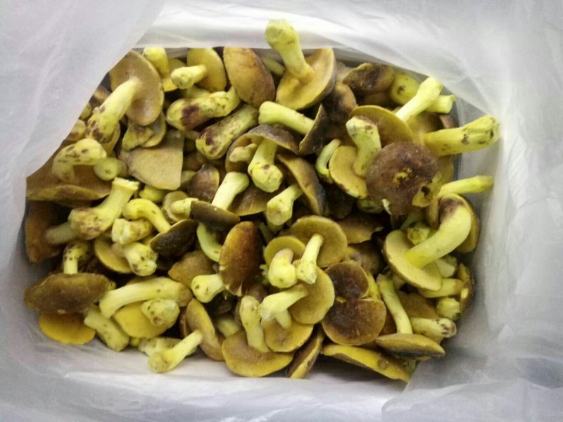 白葱菌冻品全国批发零售