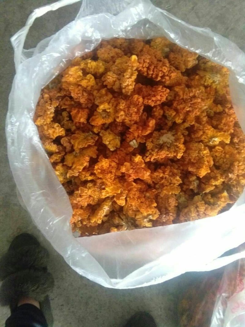 金耳干品鲜品冻品全国批发零售