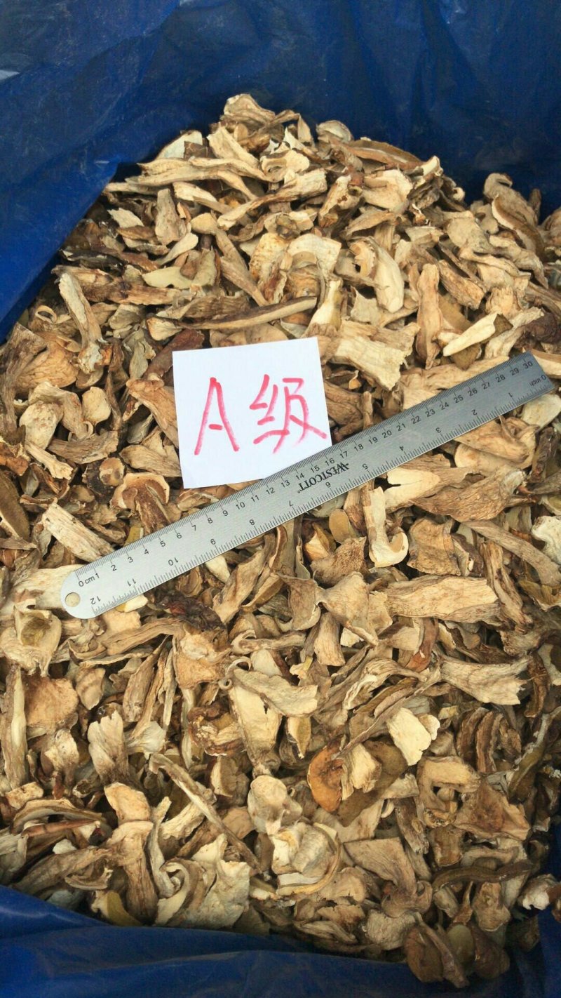 美味牛肝菌干品出口标准