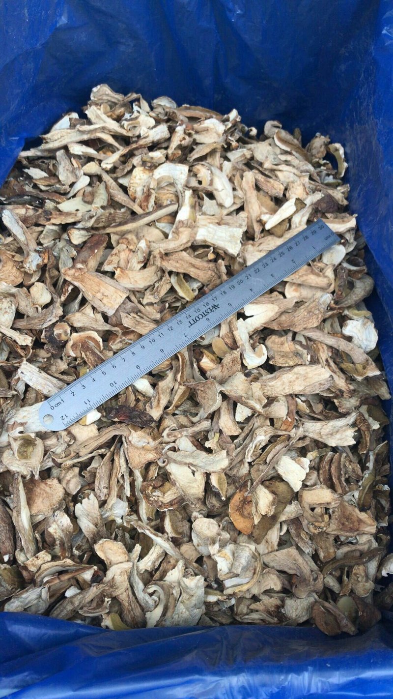 美味牛肝菌干品出口标准