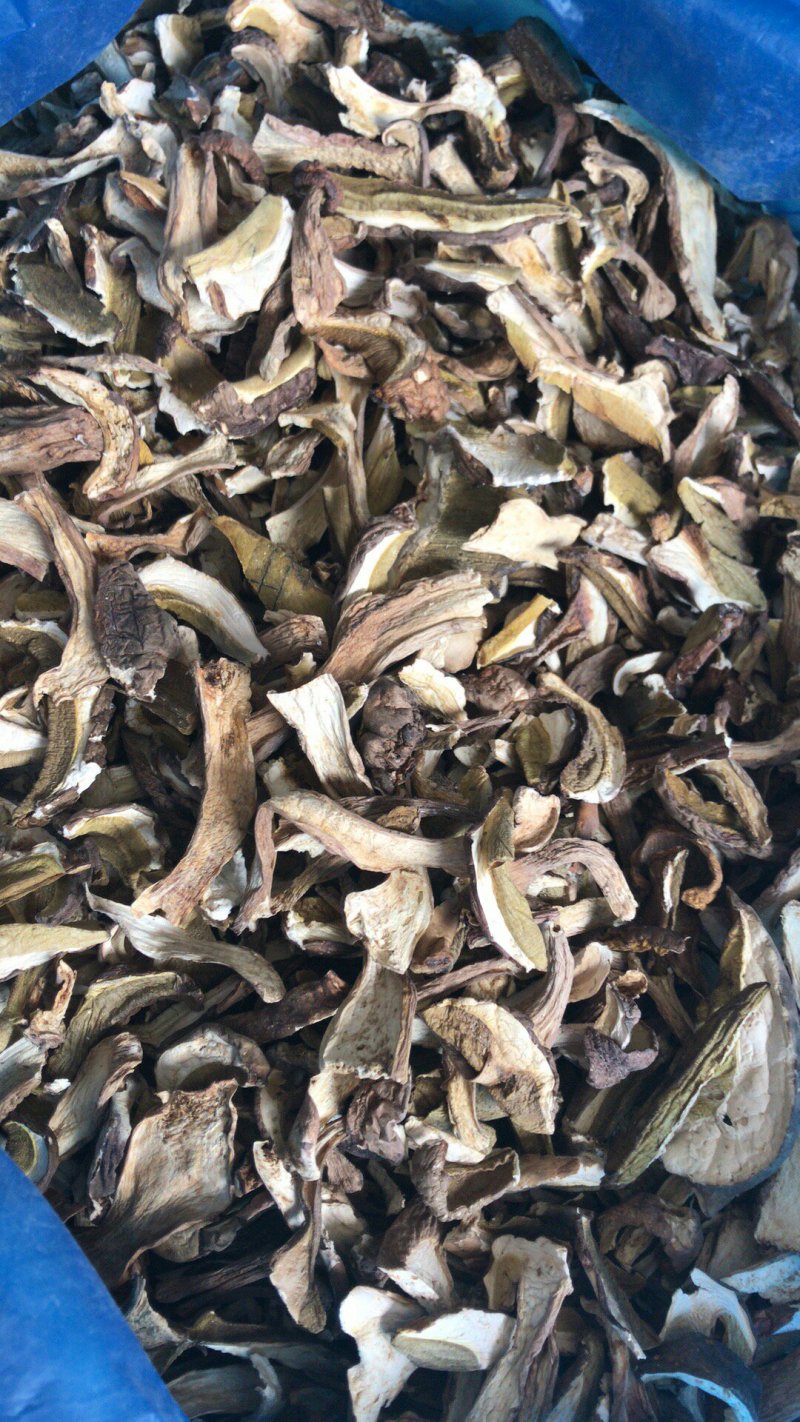 美味牛肝菌干品出口标准