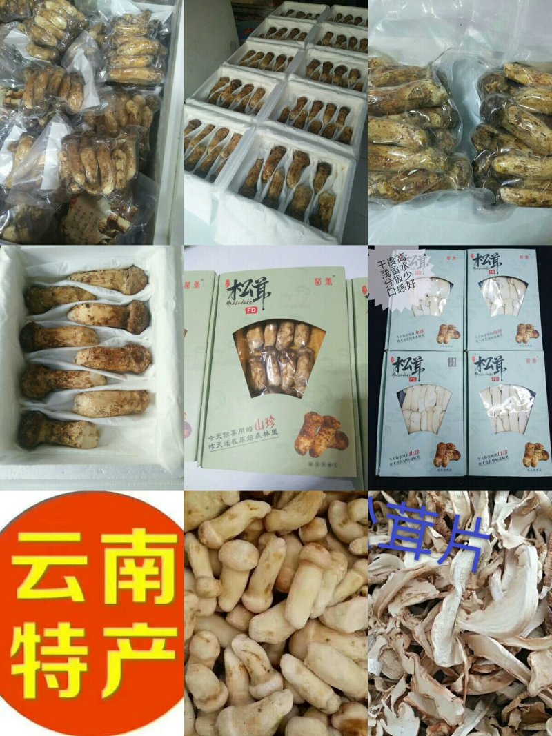 各类野生菌供应全国批发零售