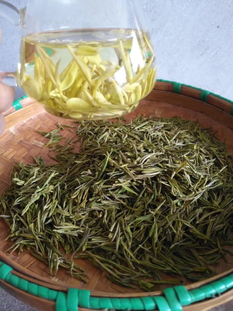 安吉白茶，白茶中的上品，高山黄金芽支持全囯一件代发