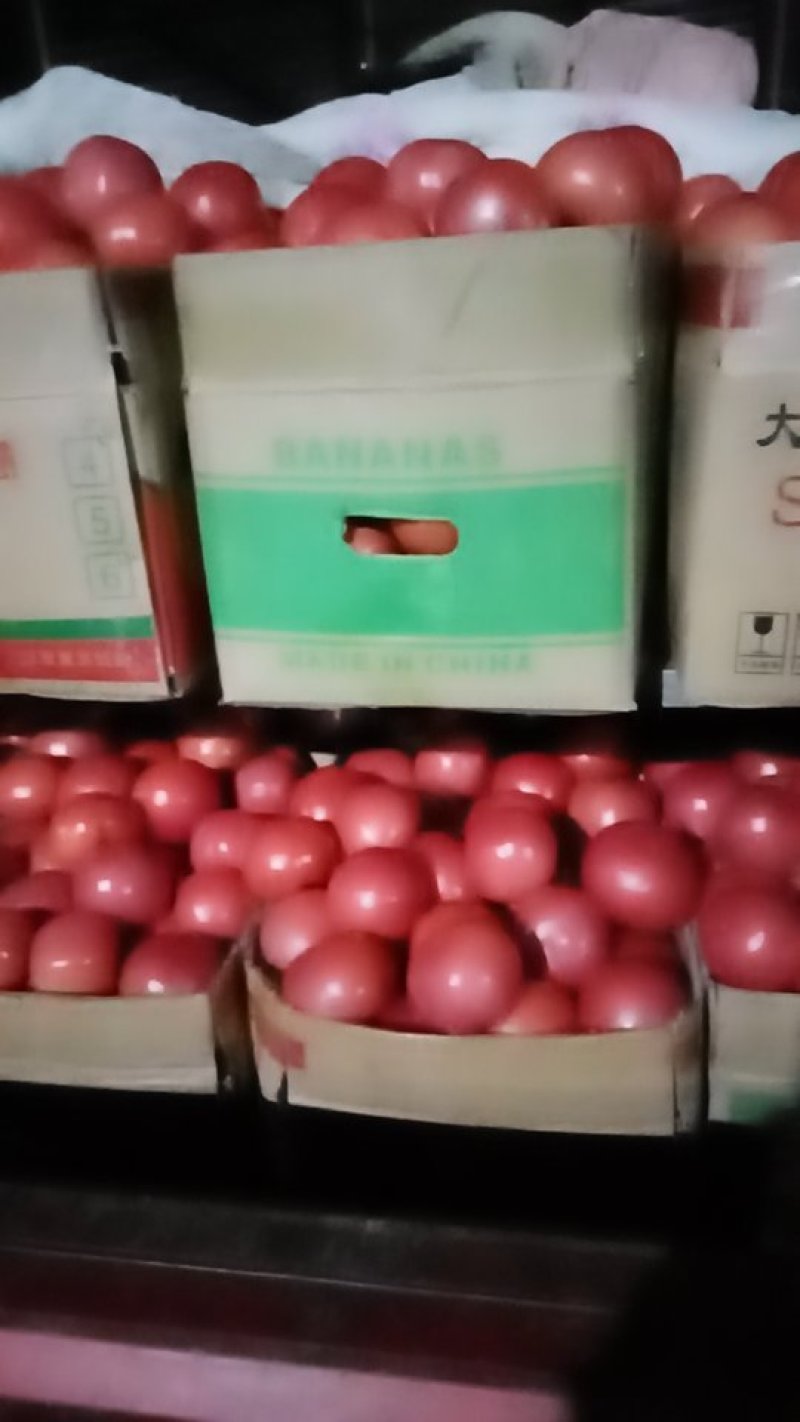 西红柿常年大量供应质量好价格优惠耐运输