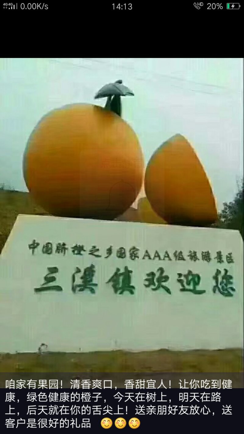 金堂脐橙