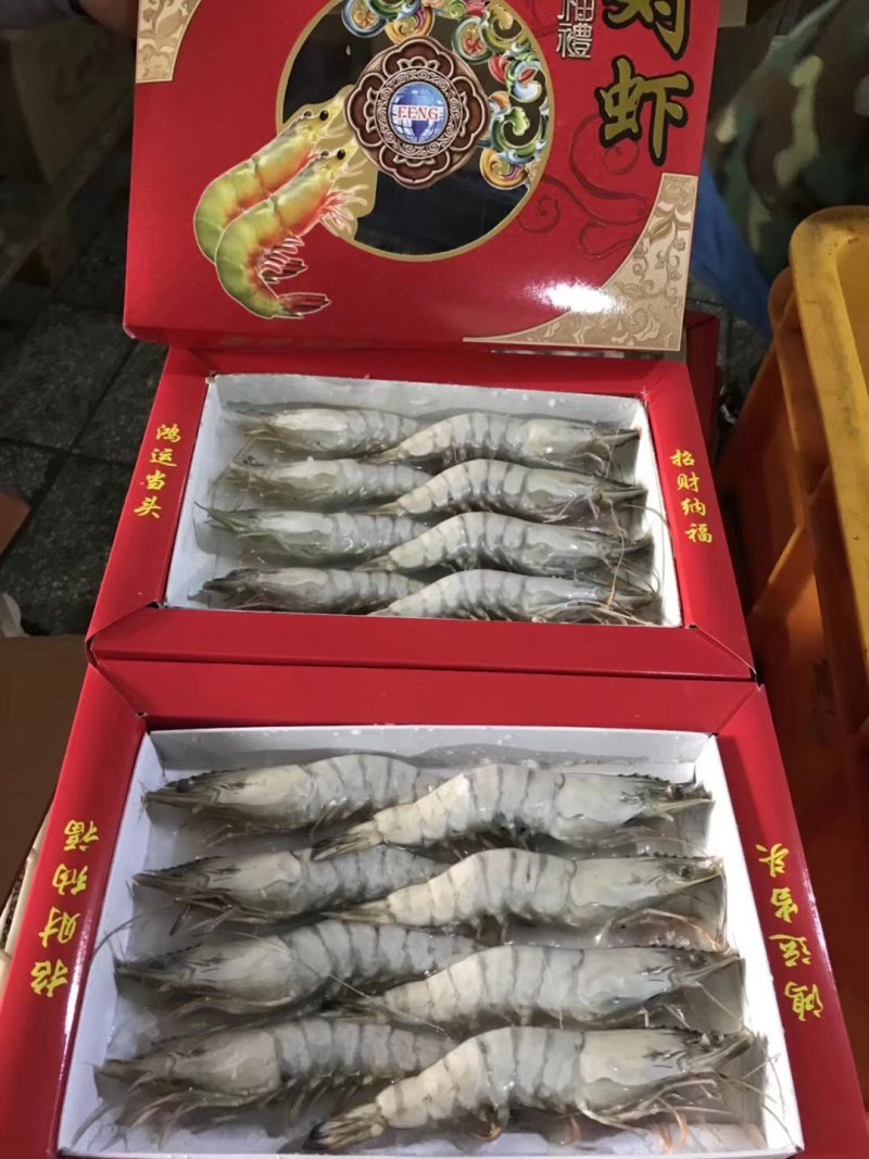 各种规格大虾